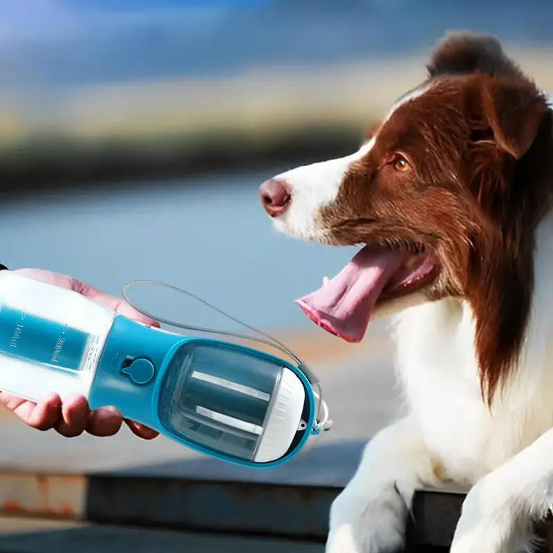 All-in-One Pet Travel Water Bottle – 300ml Feeder with Food & Waste Bag
