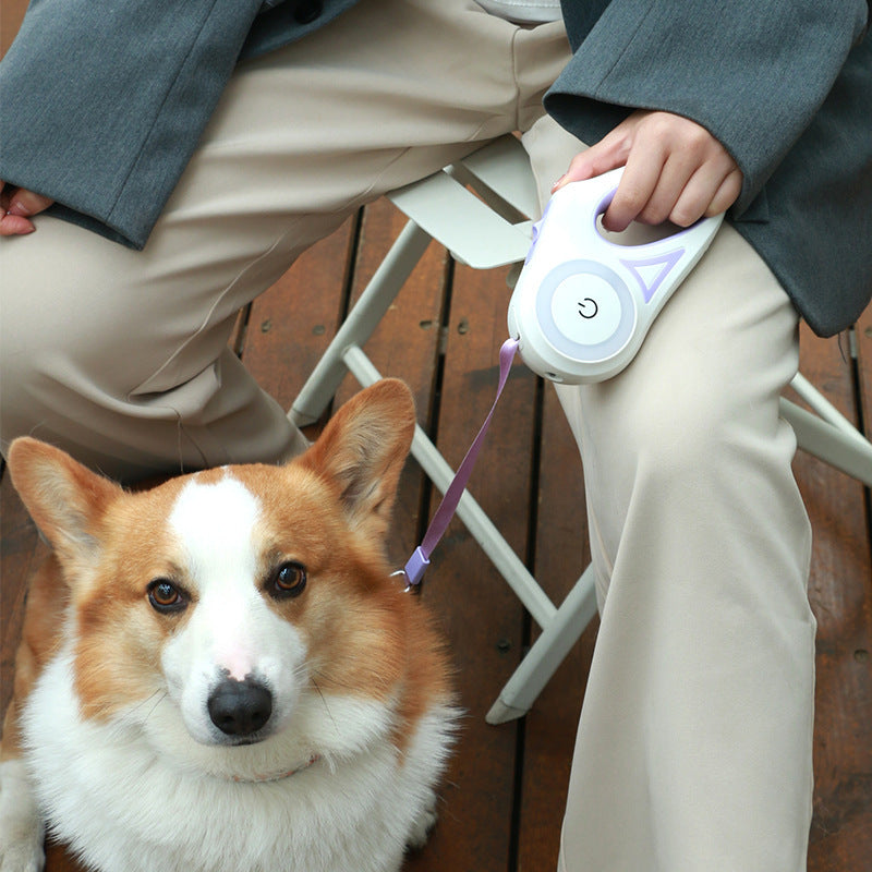 2-in-1 Retractable Dog Leash with LED Light & Collar – For Small & Medium Pets