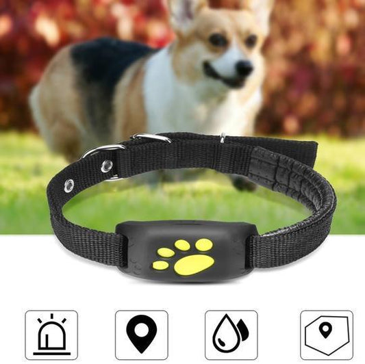 Smart GPS Pet Tracker Collar – Real-Time Location & Virtual Fence for Dogs & Cats